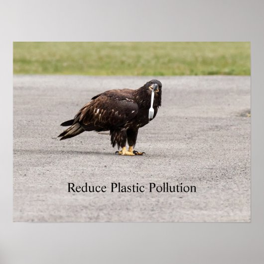 Verminder de plastische verontreiniging poster (Voorkant)