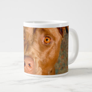 Verminderde chocolaat Lab Pit Mix Dog Grote Koffiekop