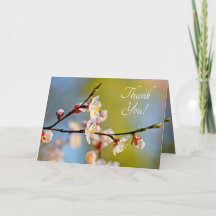 Verminderde Japanse abrikozenbloem