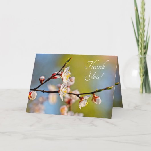 Verminderde Japanse abrikozenbloem Bedankkaart (Voorkant)