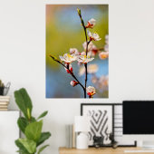 Verminderde Japanse abrikozenbloem Poster (Thuiskantoor)