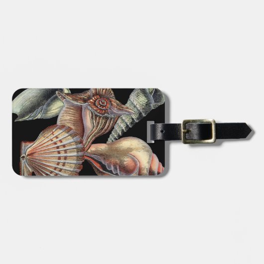 Verminderingen van het Zee Bagagelabel (Voorkant horizontaal)