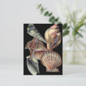 Verminderingen van het Zee Briefkaart (Staand voorkant)