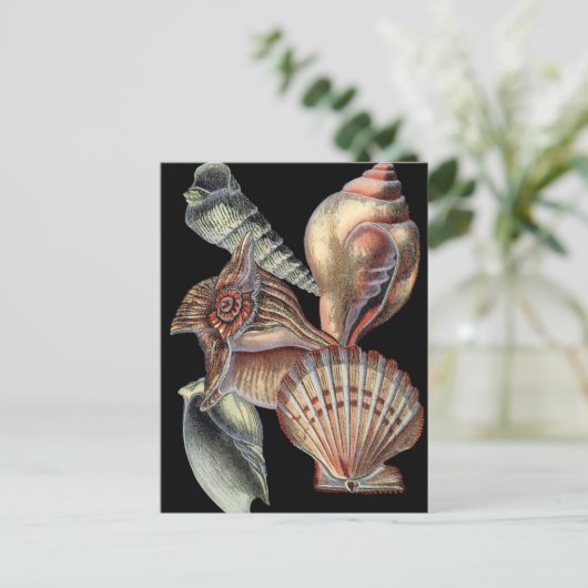 Verminderingen van het Zee Briefkaart (Staand voorkant)