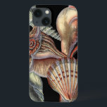 Verminderingen van het Zee Case-Mate iPhone Case<br><div class="desc">Deze kunstdruk toont de mooiste dingen in de natuur in de oceaan. Vind alle verschillende soorten het leven van het zee in dit afbeelding met inbegrip van een Verrekijker, Zand Dollars, en Reefs die diep in het zee worden begraven. Dit collectie is een must voor je volgende Zazzle producten.</div>