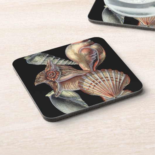 Verminderingen van het Zee Drankjes Onderzetter (Linkerzijde)