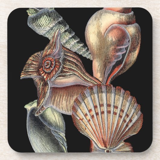 Verminderingen van het Zee Drankjes Onderzetter (Voorkant)