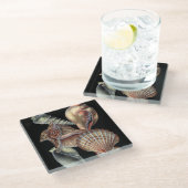 Verminderingen van het Zee Glazen Onderzetter (Schuin)