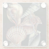 Verminderingen van het Zee Glazen Onderzetter (Achterkant)