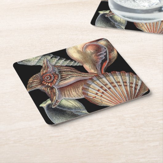 Verminderingen van het Zee Kartonnen Onderzetters (Schuin)