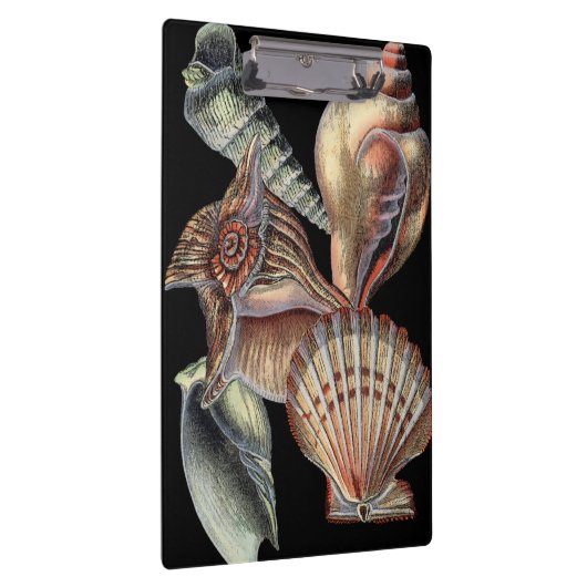 Verminderingen van het Zee Klembord (Rechts)