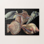 Verminderingen van het Zee Legpuzzel (Horizontaal)