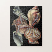 Verminderingen van het Zee Legpuzzel (Verticaal)