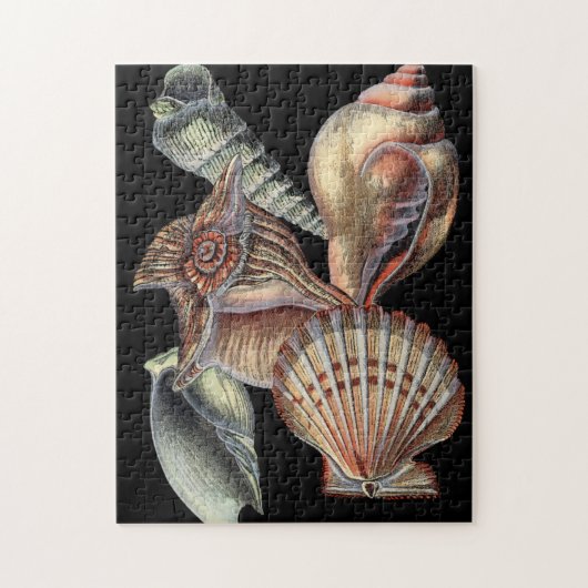 Verminderingen van het Zee Legpuzzel (Verticaal)