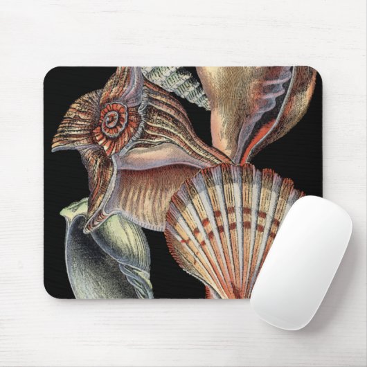 Verminderingen van het Zee Muismat (Met muis)