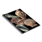 Verminderingen van het Zee Notitieboek (Rechterzijde)