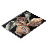 Verminderingen van het Zee Notitieboek (Linkerzijde)