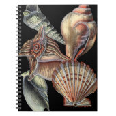 Verminderingen van het Zee Notitieboek (Voorkant)