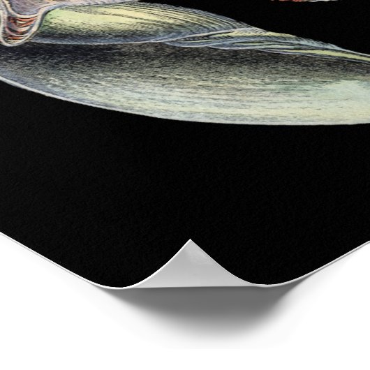 Verminderingen van het Zee Poster (Hoek)