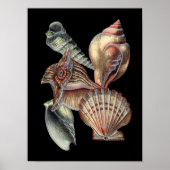 Verminderingen van het Zee Poster (Voorkant)