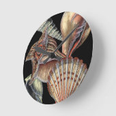 Verminderingen van het Zee Ronde Klok (Hoek)