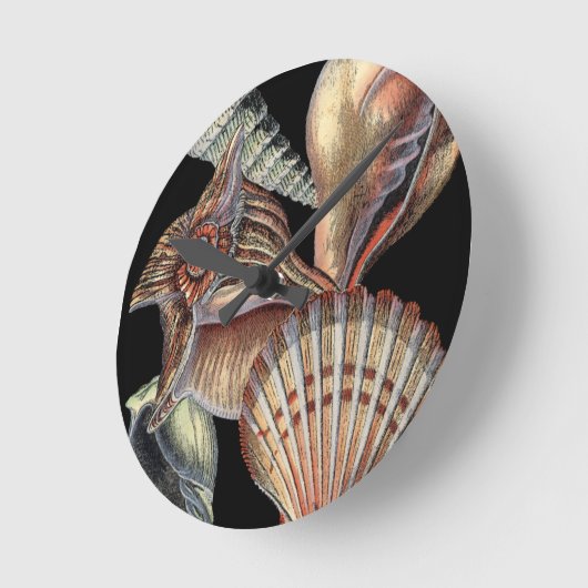 Verminderingen van het Zee Ronde Klok (Hoek)