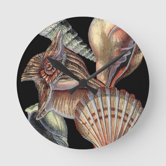 Verminderingen van het Zee Ronde Klok (Voorkant)