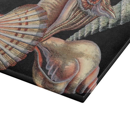 Verminderingen van het Zee Snijplank (Hoek)