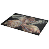 Verminderingen van het Zee Snijplank (Hoek)