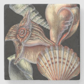 Verminderingen van het Zee Stenen Onderzetter (Voorkant)