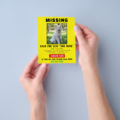 Vermist Huisdier - Dringende Poster Sjabloon Flyer (Hand)