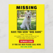 Vermist Huisdier - Dringende Poster Sjabloon Flyer (Voorkant)