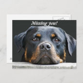 Vermist je! briefkaart (Voorkant / Achterkant)