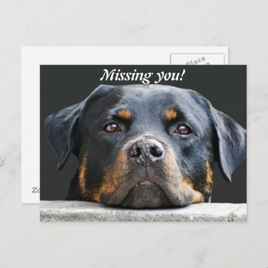 Vermist je! briefkaart (Voorkant / Achterkant)