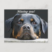 Vermist je! briefkaart (Voorkant)