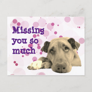 Vermist je droevige hond briefkaart