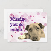 Vermist je droevige hond briefkaart (Voorkant / Achterkant)