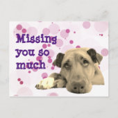 Vermist je droevige hond briefkaart (Voorkant)