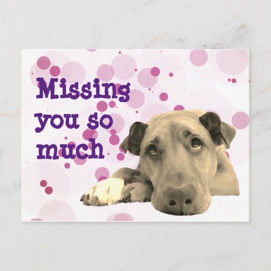 Vermist je droevige hond briefkaart (Voorkant)