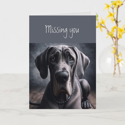 Vermist je droevige hond Grote Deen Kaart (Gele Bloem)