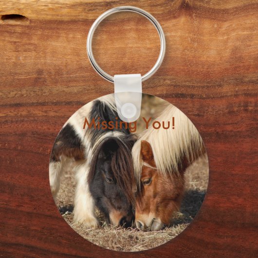 Vermist je! Ponies sleutelhanger (Voorkant)