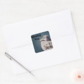 Vermiste bruin Vrouw Duck Artistieke Bird Vierkante Sticker (Envelop)