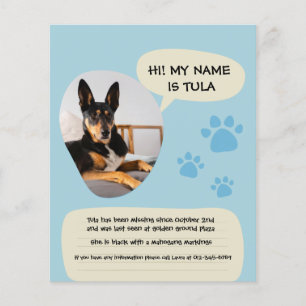 Vermiste hond Modern Blue Foto Poster Flyer
