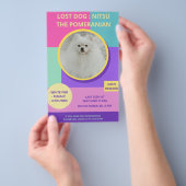 Vermiste Hond Modern Kleurrijk Foto Poster Flyer (Hand)