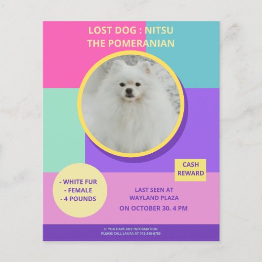 Vermiste Hond Modern Kleurrijk Foto Poster Flyer (Voorkant)