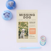 Vermiste hondenvlieger flyer (Enkel)