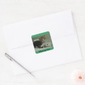 Vermiste je kittens stickers (Envelop)