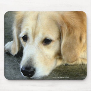 Vermiste jij/Golden Retriever Gift Mousepad Muismat