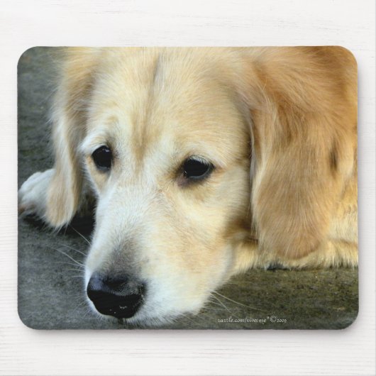 Vermiste jij/Golden Retriever Gift Mousepad Muismat (Voorkant)