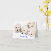 Vermiste Puppies kaart voor het ophalen van werkne (Gele Bloem)